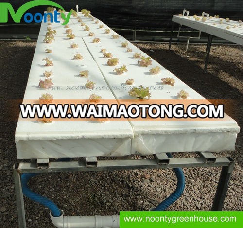 DFT Hydroponics System