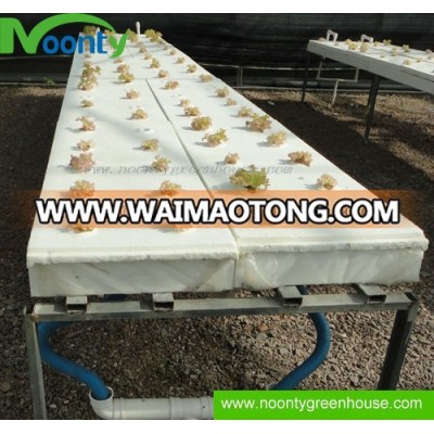 DFT Hydroponics System